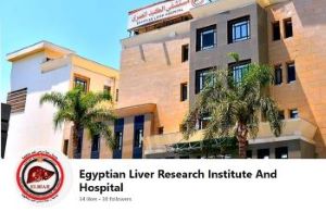 Fighting Liver Cancer in Egypt
