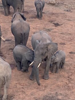 Kenya 27
