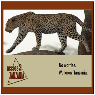 Join a Safari in Tanzania