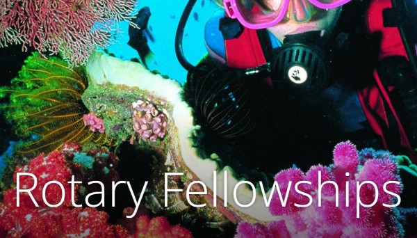 Rotary fellowships marketing image