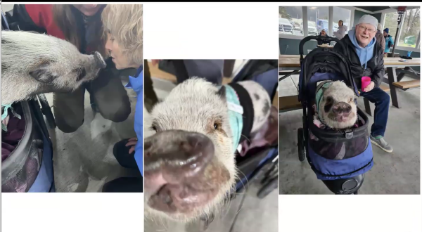 9June2026 video thumbnail