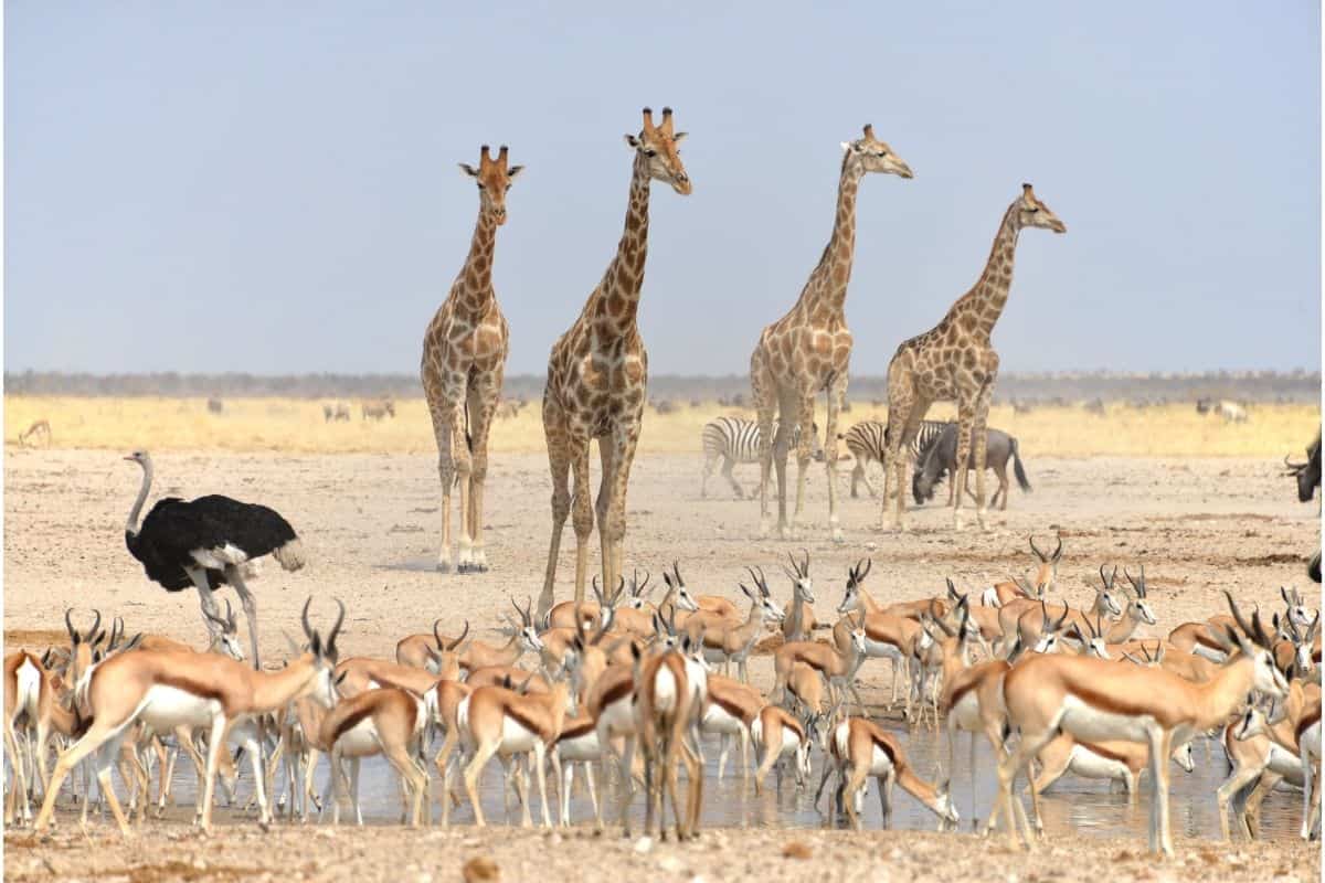 Namibia – We’re Back!