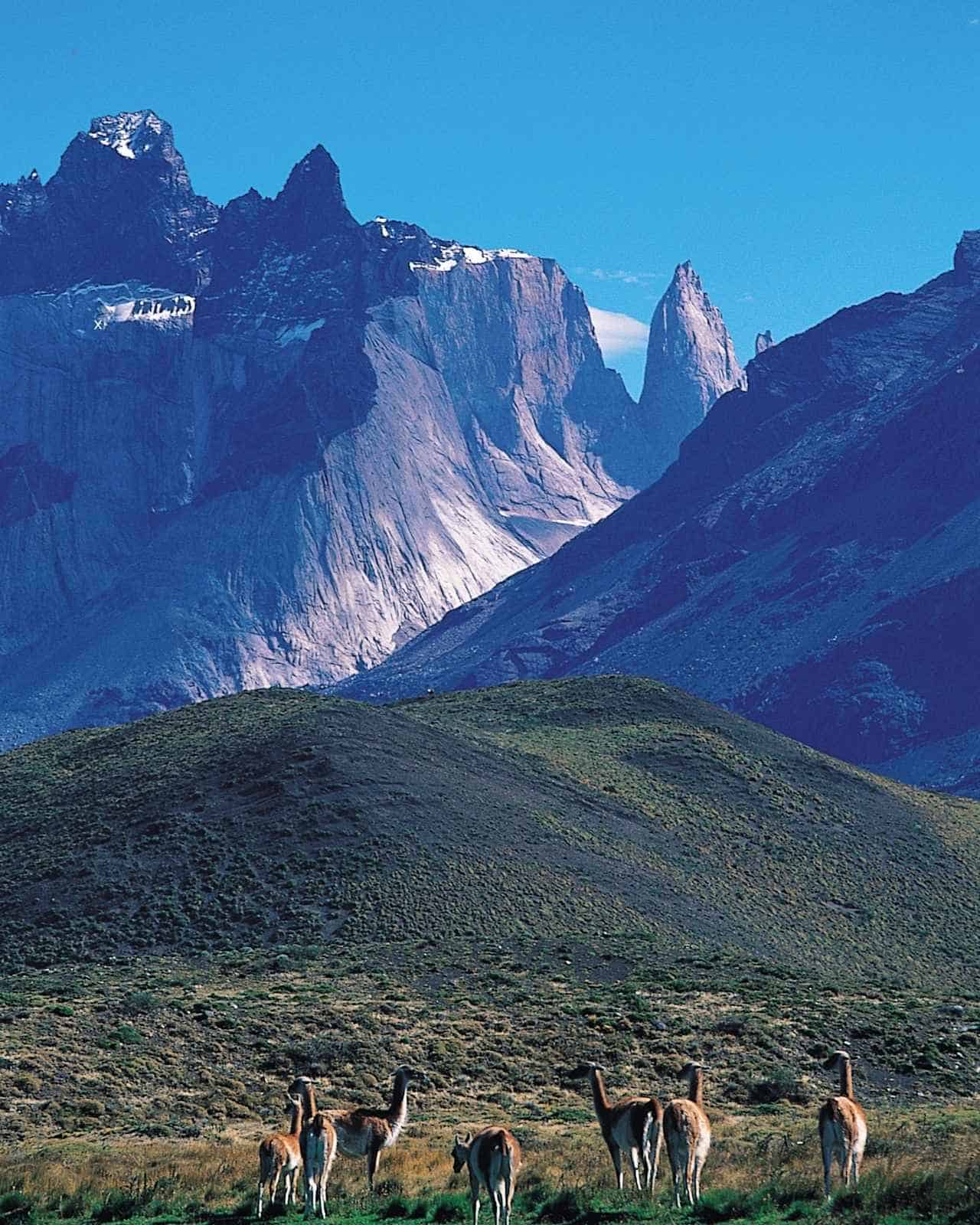 Visit Chile’s Southern Wonders