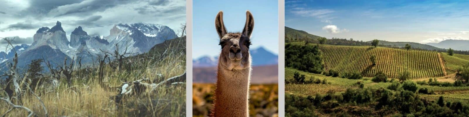Chile-header