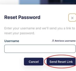 Send Link